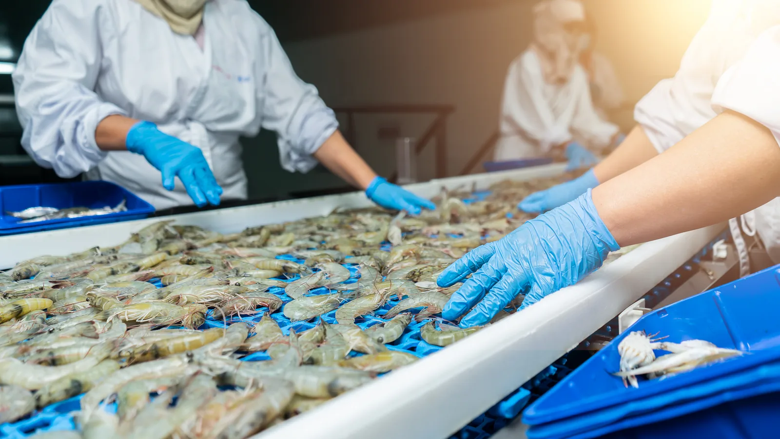 Food Production