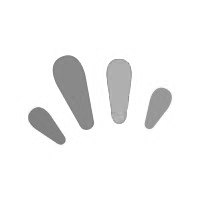 Hapara logo